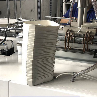 Paper Plastic Lunch Box Forming Machine Sandwich  Multi Grid
