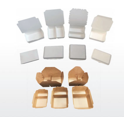 Versatile FBJ-D Paper Meal Box Forming Machine Full Automatic Intelligent